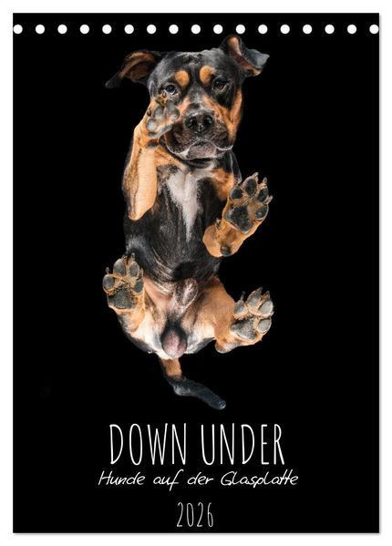 Down Under - Hunde auf der Glasplatte (Tischkalender 2026 DIN A5 hoch) CALVENDO Monatskalender
