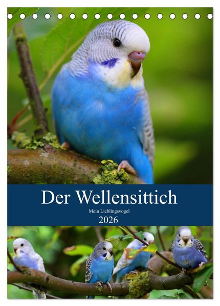 Der Wellensittich - Mein Lieblingsvogel (Tischkalender 2026 DIN A5 hoch) CALVENDO Monatskalender