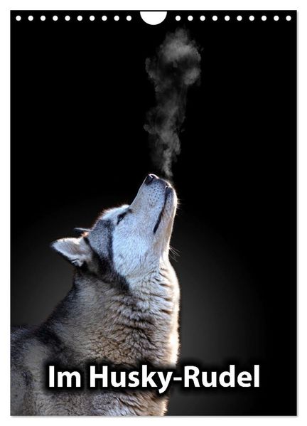 Im Husky-Rudel (Wandkalender 2026 DIN A4 hoch) CALVENDO Monatskalender