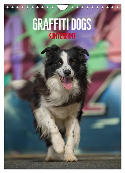 Graffiti Dogs Kunterbunt (Wandkalender 2026 DIN A4 hoch) CALVENDO Monatskalender