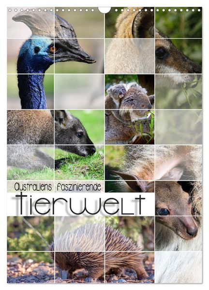 Australiens faszinierende Tierwelt (Wandkalender 2026 DIN A3 hoch) CALVENDO Monatskalender