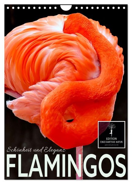 Flamingos - Eleganz und Schönheit (Wandkalender 2026 DIN A4 hoch) CALVENDO Monatskalender