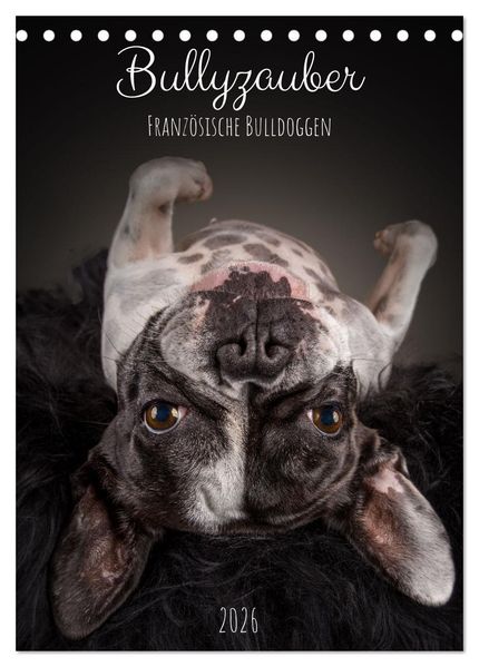 Bullyzauber - Französische Bulldoggen (Tischkalender 2026 DIN A5 hoch) CALVENDO Monatskalender