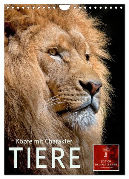 Tiere - Köpfe mit Charakter (Wandkalender 2026 DIN A4 hoch) CALVENDO Monatskalender