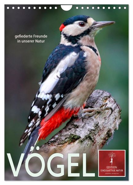 Vögel - gefiederte Freunde in unserer Natur (Wandkalender 2026 DIN A4 hoch) CALVENDO Monatskalender