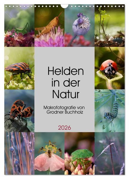 Helden in der Natur (Wandkalender 2026 DIN A3 hoch) CALVENDO Monatskalender