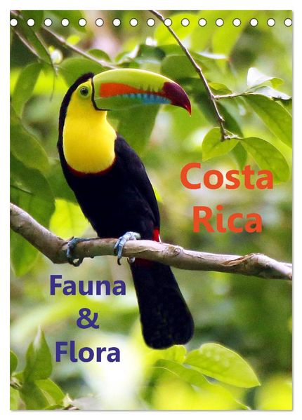 Costa Rica - Fauna & Flora (Tischkalender 2026 DIN A5 hoch) CALVENDO Monatskalender