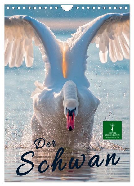 Der Schwan (Wandkalender 2026 DIN A4 hoch) CALVENDO Monatskalender