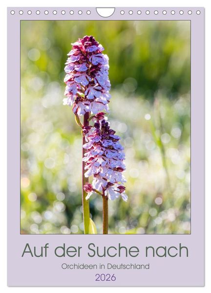 Auf der Suche nach Orchideen in Deutschland (Wandkalender 2026 DIN A4 hoch) CALVENDO Monatskalender
