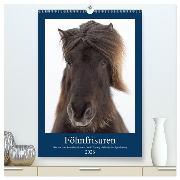 Föhnfrisuren (hochwertiger Premium Wandkalender 2026 DIN A2 hoch) Kunstdruck in Hochglanz