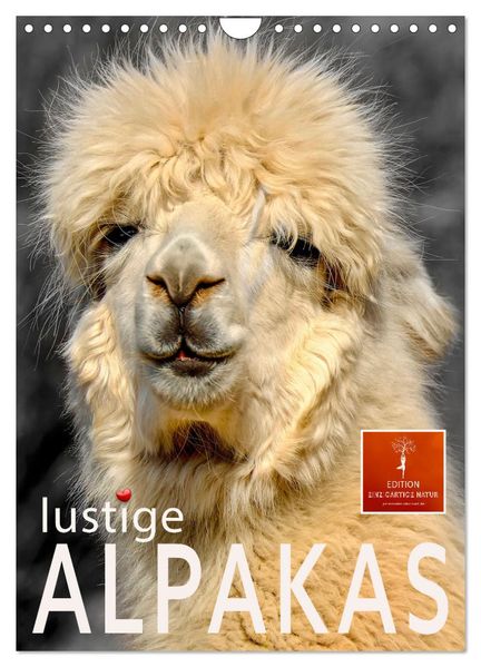Lustige Alpakas (Wandkalender 2026 DIN A4 hoch) CALVENDO Monatskalender