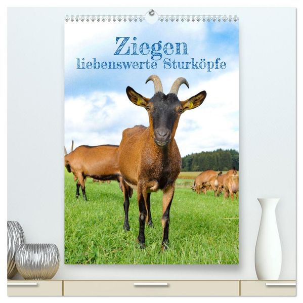 Ziegen - liebenswerte Sturköpfe (hochwertiger Premium Wandkalender 2026 DIN A2 hoch) Kunstdruck in Hochglanz