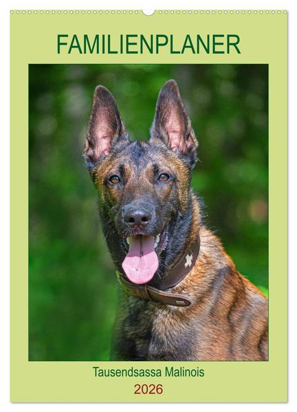Familienplaner Tausendsassa Malinois (Wandkalender 2026 DIN A2 hoch) CALVENDO Monatskalender
