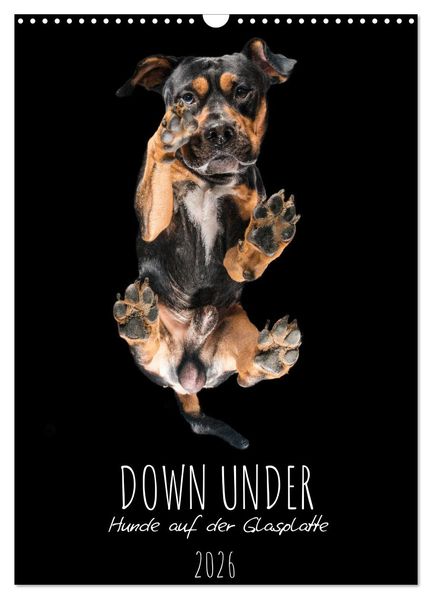 Down Under - Hunde auf der Glasplatte (Wandkalender 2026 DIN A3 hoch) CALVENDO Monatskalender