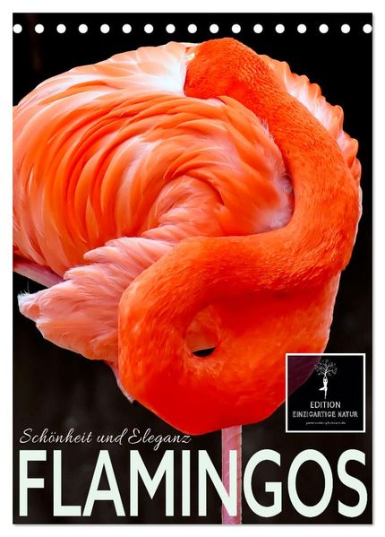 Flamingos - Eleganz und Schönheit (Tischkalender 2026 DIN A5 hoch) CALVENDO Monatskalender