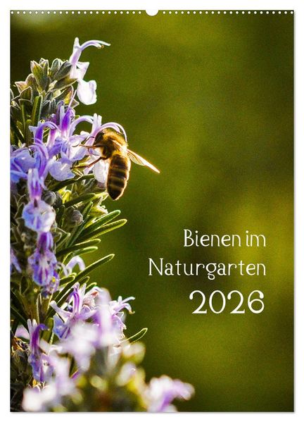Bienen im Naturgarten (Wandkalender 2026 DIN A2 hoch) CALVENDO Monatskalender
