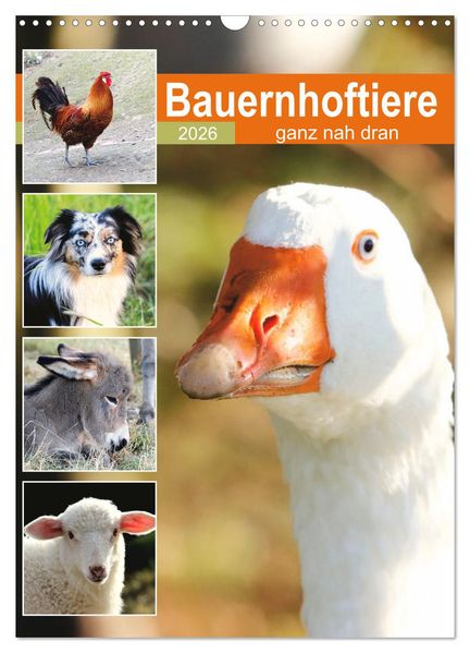 Bauernhoftiere ganz nah dran (Wandkalender 2026 DIN A3 hoch) CALVENDO Monatskalender