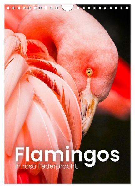 Flamingos in rosa Federpracht. (Wandkalender 2026 DIN A4 hoch) CALVENDO Monatskalender
