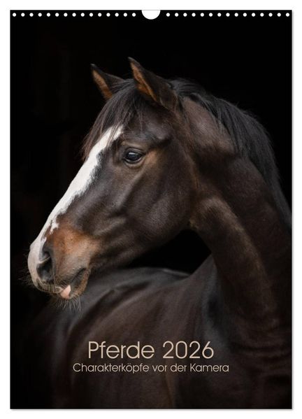 Pferde 2026 - Charakterköpfe vor der Kamera (Wandkalender 2026 DIN A3 hoch) CALVENDO Monatskalender
