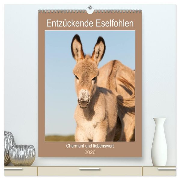 Entzückende Esel - Charmant und liebenswert (hochwertiger Premium Wandkalender 2026 DIN A2 hoch) Kunstdruck in Hochglanz