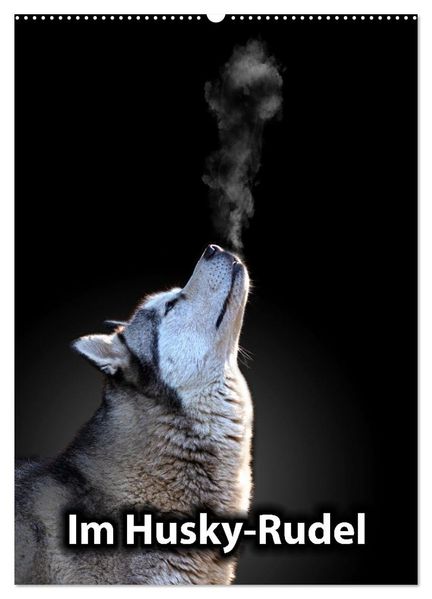 Im Husky-Rudel (Wandkalender 2026 DIN A2 hoch) CALVENDO Monatskalender