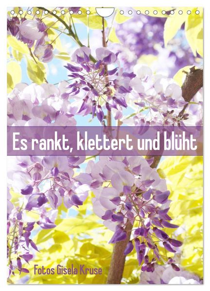 Es rankt klettert und blüht (Wandkalender 2026 DIN A4 hoch) CALVENDO Monatskalender