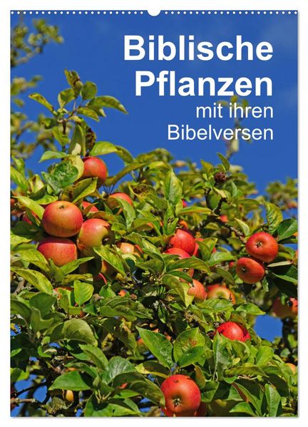 Biblische Pflanzen mit ihren Bibelversen (Wandkalender 2026 DIN A2 hoch) CALVENDO Monatskalender