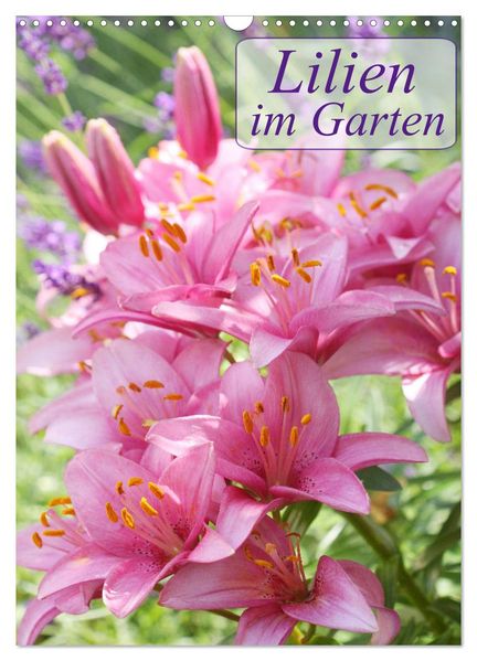 Lilien im Garten (Wandkalender 2026 DIN A3 hoch) CALVENDO Monatskalender