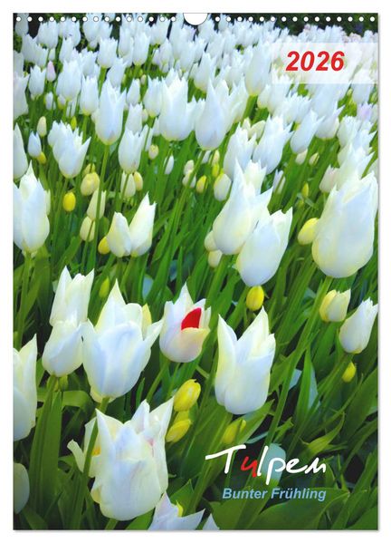 Tulpen. Bunter Frühling (Wandkalender 2026 DIN A3 hoch) CALVENDO Monatskalender