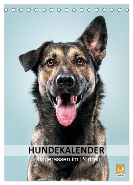 Hundekalender - Hunderassen im Portrait (Tischkalender 2026 DIN A5 hoch) CALVENDO Monatskalender