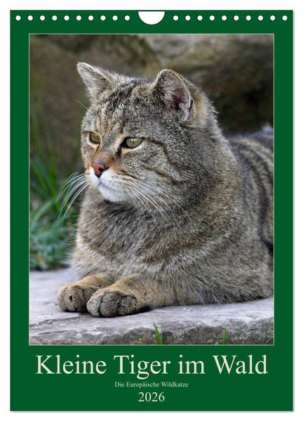 Kleine Tiger im Wald (Wandkalender 2026 DIN A4 hoch) CALVENDO Monatskalender