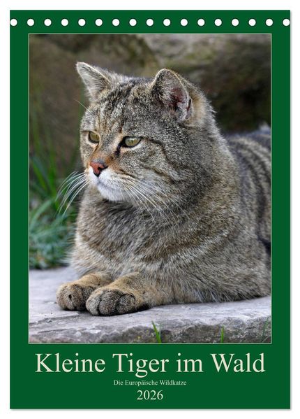 Kleine Tiger im Wald (Tischkalender 2026 DIN A5 hoch) CALVENDO Monatskalender