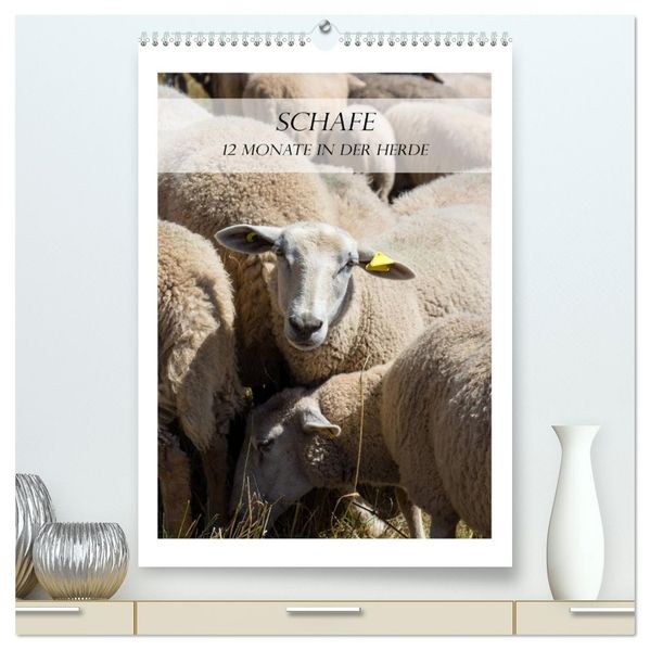 Schafe - 12 Monate in der Herde (hochwertiger Premium Wandkalender 2026 DIN A2 hoch) Kunstdruck in Hochglanz