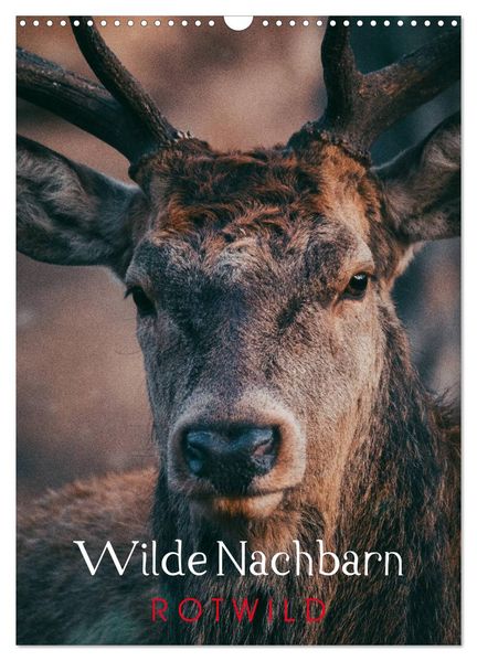 Wilde Nachbarn: Rotwild (Wandkalender 2026 DIN A3 hoch) CALVENDO Monatskalender