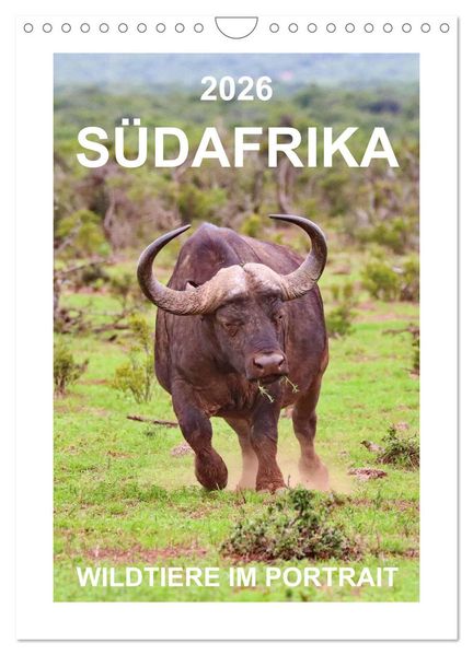SÜDAFRIKA - WILDTIERE IM PORTRAIT (Wandkalender 2026 DIN A4 hoch) CALVENDO Monatskalender
