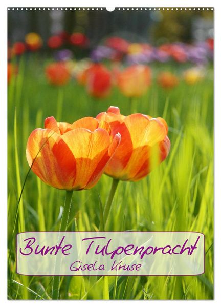Bunte Tulpenpracht (Wandkalender 2026 DIN A2 hoch) CALVENDO Monatskalender