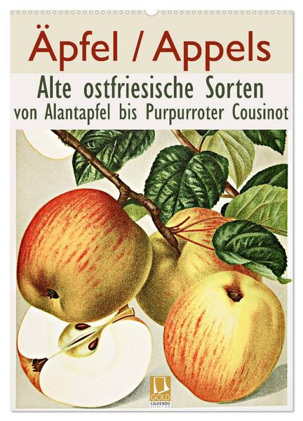 Äpfel/Appels. Alte ostfriesische Sorten (Wandkalender 2026 DIN A2 hoch) CALVENDO Monatskalender