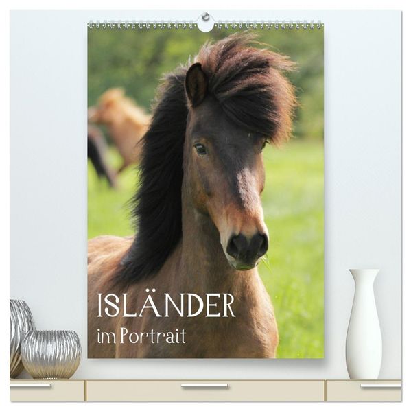 Isländer im Portrait (hochwertiger Premium Wandkalender 2026 DIN A2 hoch) Kunstdruck in Hochglanz