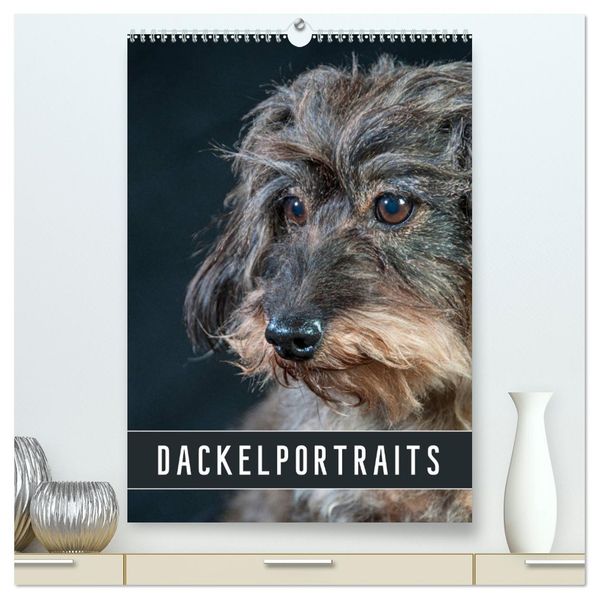 Dackelportraits (hochwertiger Premium Wandkalender 2026 DIN A2 hoch) Kunstdruck in Hochglanz