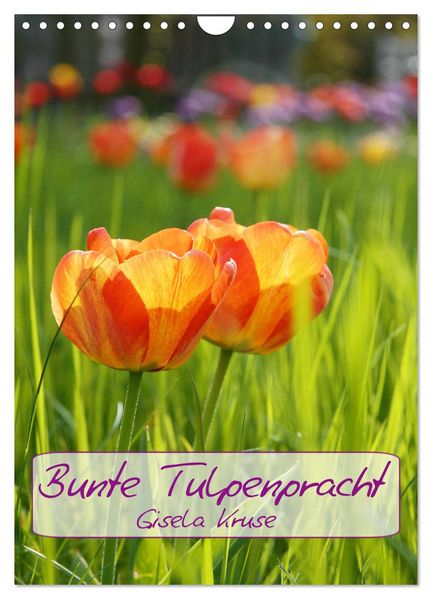 Bunte Tulpenpracht (Wandkalender 2026 DIN A4 hoch) CALVENDO Monatskalender