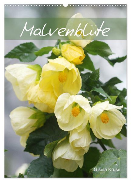 Malvenblüte (Wandkalender 2026 DIN A2 hoch) CALVENDO Monatskalender