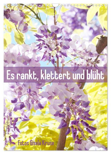 Es rankt klettert und blüht (Wandkalender 2026 DIN A3 hoch) CALVENDO Monatskalender