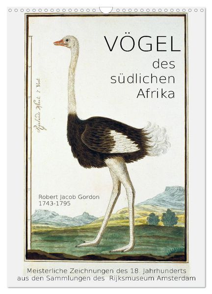 Vögel des südlichen Afrika (Wandkalender 2026 DIN A3 hoch) CALVENDO Monatskalender