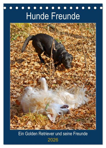 Hunde Freunde (Tischkalender 2026 DIN A5 hoch) CALVENDO Monatskalender