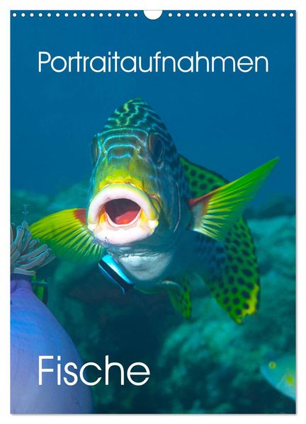 Portraitaufnahmen - Fische (Wandkalender 2026 DIN A3 hoch) CALVENDO Monatskalender