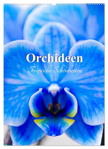 Orchideen - Tropische Schönheiten (Wandkalender 2026 DIN A2 hoch) CALVENDO Monatskalender