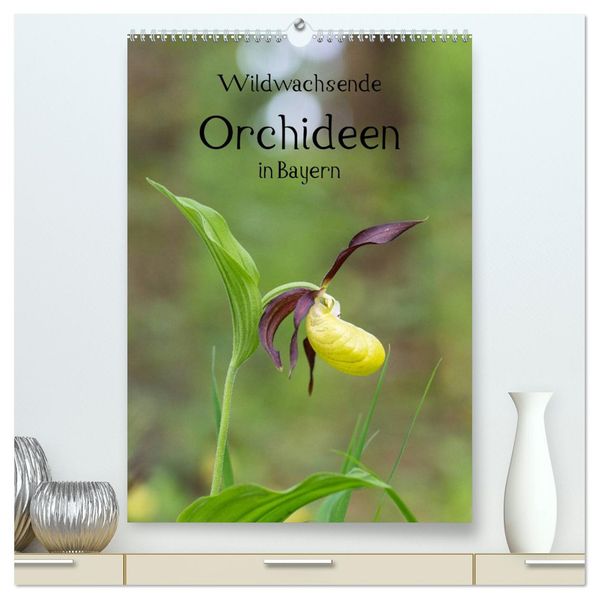 Wildwachsende Orchideen in Bayern (hochwertiger Premium Wandkalender 2026 DIN A2 hoch) Kunstdruck in Hochglanz