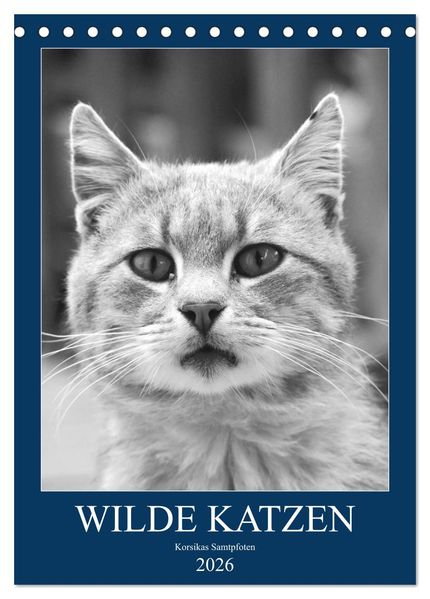 Wilde Katzen - Korsikas Samtpfoten (Tischkalender 2026 DIN A5 hoch) CALVENDO Monatskalender