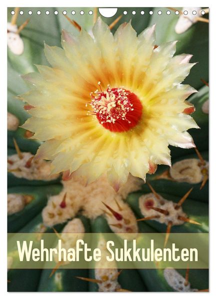 Wehrhafte Sukkulenten (Wandkalender 2026 DIN A4 hoch) CALVENDO Monatskalender