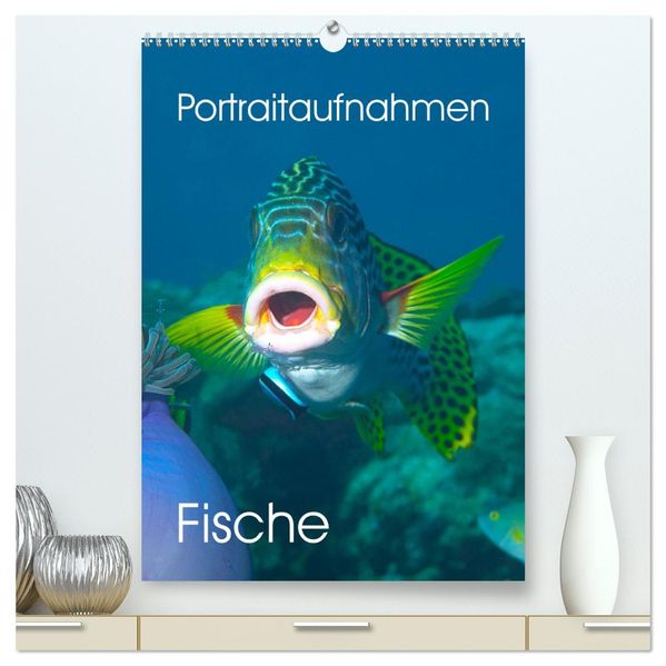 Portraitaufnahmen - Fische (hochwertiger Premium Wandkalender 2026 DIN A2 hoch) Kunstdruck in Hochglanz